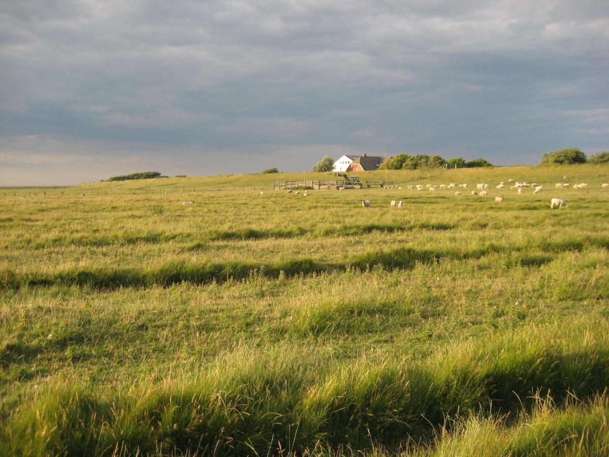Hof Rickelsbuell - Nordseeurlaub Auf Dem Biobauernhof Rodenas Exterior photo